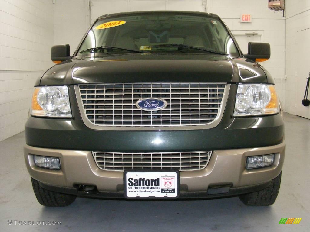 2003 Expedition Eddie Bauer 4x4 - Estate Green Metallic / Medium Parchment photo #2