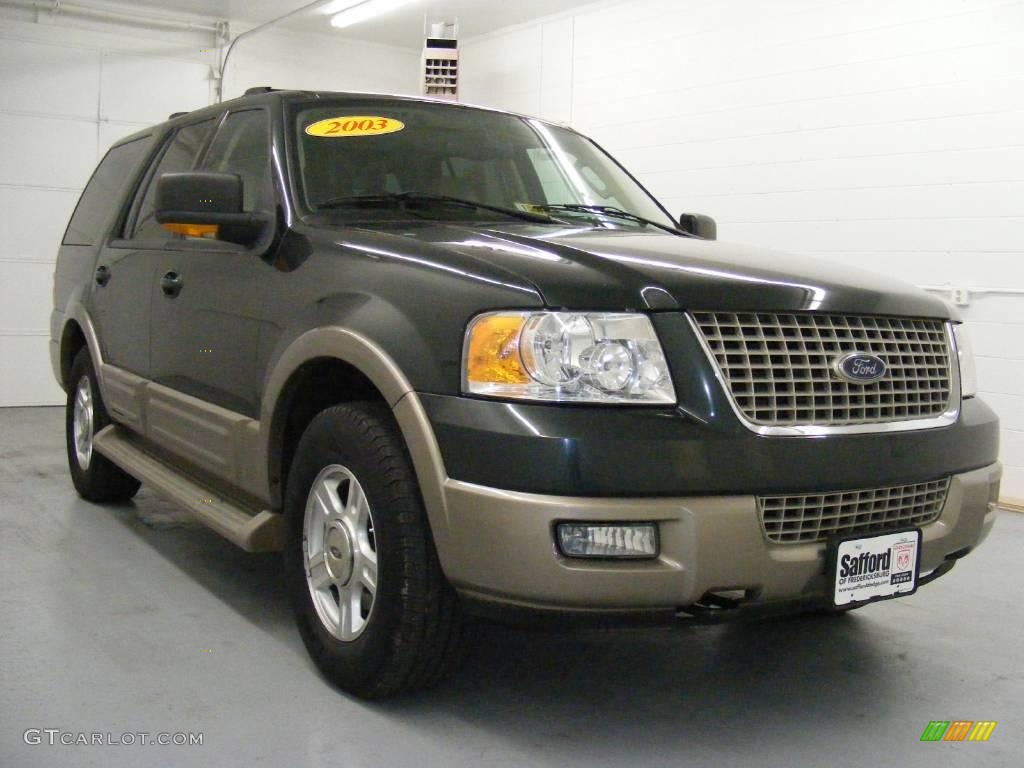 2003 Expedition Eddie Bauer 4x4 - Estate Green Metallic / Medium Parchment photo #3