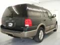 2003 Estate Green Metallic Ford Expedition Eddie Bauer 4x4  photo #4