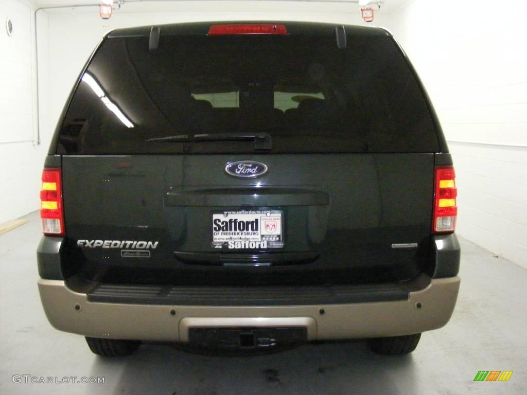 2003 Expedition Eddie Bauer 4x4 - Estate Green Metallic / Medium Parchment photo #5