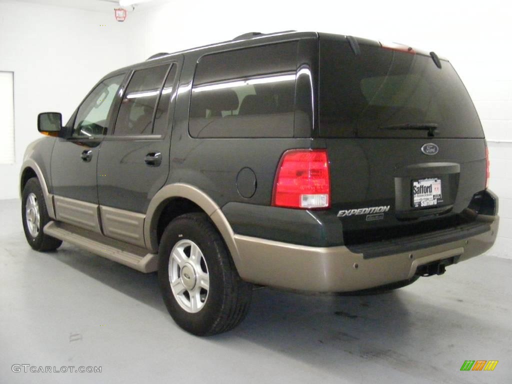 2003 Expedition Eddie Bauer 4x4 - Estate Green Metallic / Medium Parchment photo #6