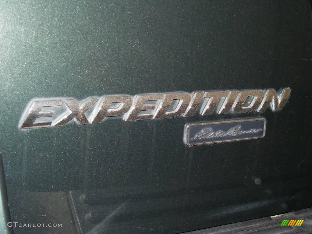2003 Expedition Eddie Bauer 4x4 - Estate Green Metallic / Medium Parchment photo #50
