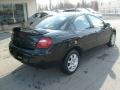 2005 Black Dodge Neon SXT  photo #7