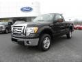 2010 Tuxedo Black Ford F150 XLT Regular Cab  photo #6