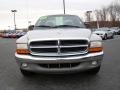 Light Driftwood Satin Glow - Dakota SLT Extended Cab Photo No. 7