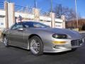 Light Pewter Metallic - Camaro Coupe Photo No. 8