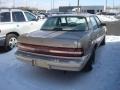 Light Driftwood Metallic - Century Special Sedan Photo No. 2