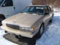 Light Driftwood Metallic - Century Special Sedan Photo No. 5