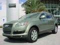 2007 Sycamore Green Metallic Audi Q7 3.6 Premium quattro  photo #1