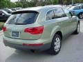 2007 Sycamore Green Metallic Audi Q7 3.6 Premium quattro  photo #6