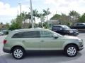 2007 Sycamore Green Metallic Audi Q7 3.6 Premium quattro  photo #7