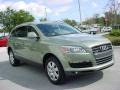2007 Sycamore Green Metallic Audi Q7 3.6 Premium quattro  photo #8