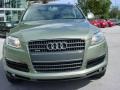 2007 Sycamore Green Metallic Audi Q7 3.6 Premium quattro  photo #9