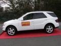 Alabaster White - ML 350 4Matic Photo No. 6