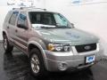 2007 Titanium Green Metallic Ford Escape XLT V6  photo #1