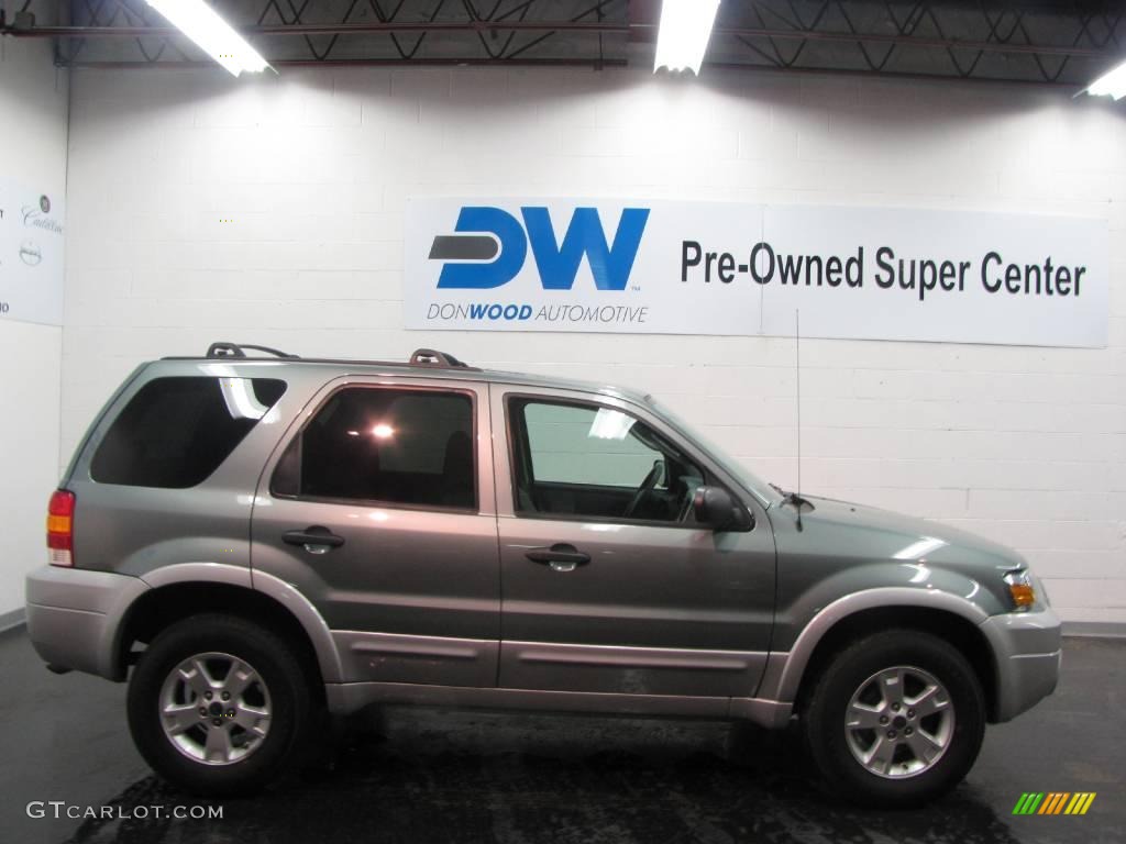 2007 Escape XLT V6 - Titanium Green Metallic / Medium/Dark Flint photo #6