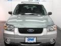 2007 Titanium Green Metallic Ford Escape XLT V6  photo #7