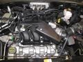2007 Titanium Green Metallic Ford Escape XLT V6  photo #23