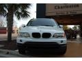 Alpine White - X5 3.0i Photo No. 9