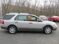 Silver Birch Metallic - Freestyle SE AWD Photo No. 4