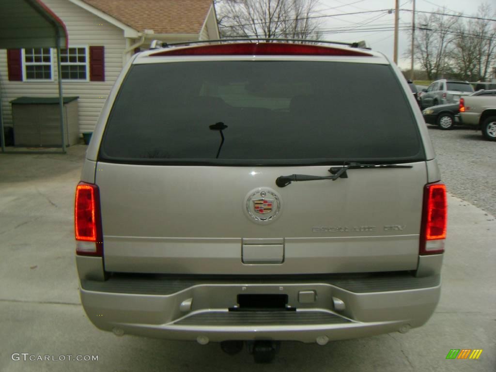 2004 Escalade ESV AWD Platinum Edition - Quicksilver / Shale photo #10