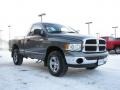 2005 Mineral Gray Metallic Dodge Ram 1500 SLT Regular Cab 4x4  photo #5