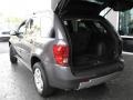 2007 Granite Grey Metallic Pontiac Torrent   photo #10