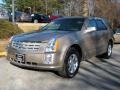 2006 Sand Storm Cadillac SRX V6  photo #8