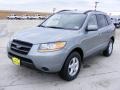 2008 Platinum Sage Hyundai Santa Fe GLS  photo #7