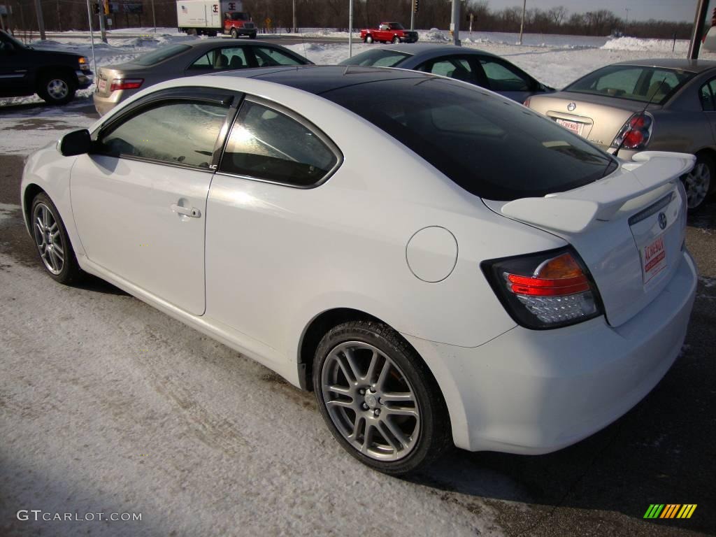 2006 tC  - Super White / Dark Charcoal photo #3