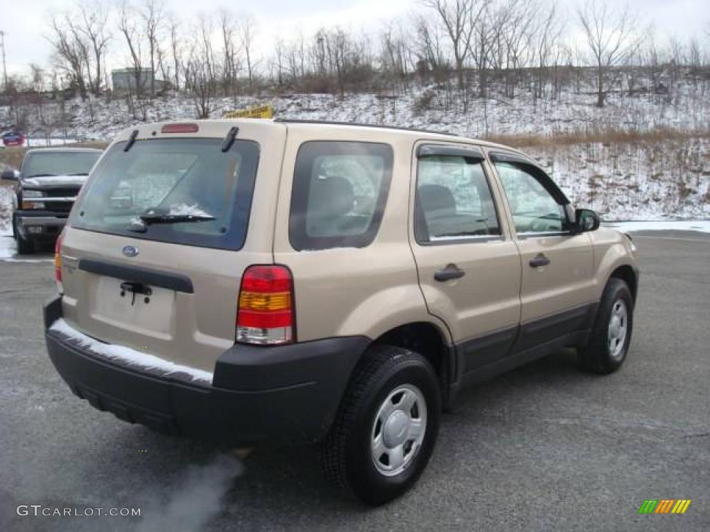 2007 Escape XLS 4WD - Dune Pearl Metallic / Medium/Dark Pebble photo #3