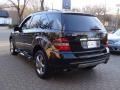 Black - ML 350 4Matic Photo No. 6