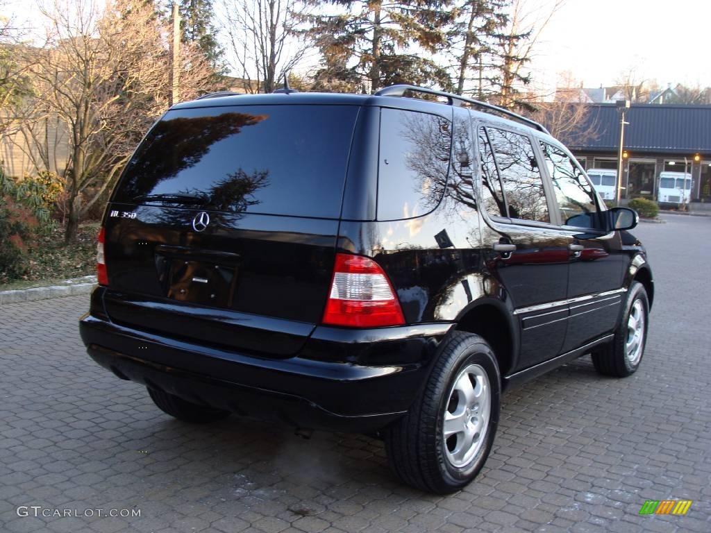 2003 ML 350 4Matic - Black / Ash photo #4