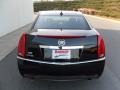 Black Raven - CTS 3.0 Sedan Photo No. 3