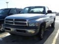 2001 Bright Silver Metallic Dodge Ram 1500 ST Regular Cab  photo #1