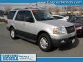 2004 Silver Birch Metallic Ford Expedition XLT 4x4  photo #1