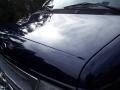 True Blue Metallic - E Series Van E350 Commercial Photo No. 15