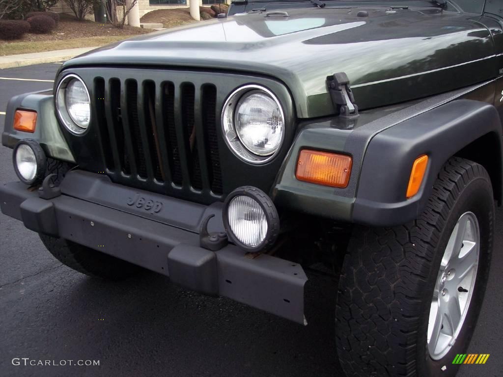 1998 Wrangler Sport 4x4 - Moss Green Pearl / Khaki photo #16