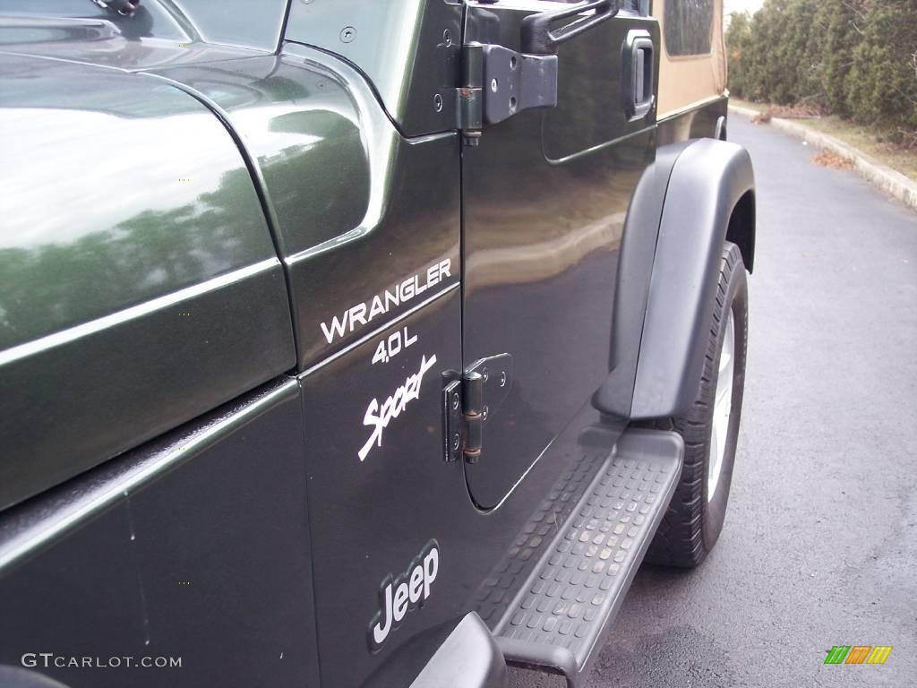 1998 Wrangler Sport 4x4 - Moss Green Pearl / Khaki photo #17