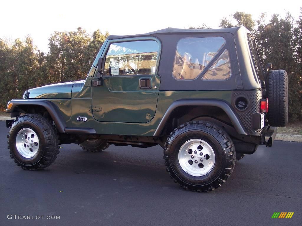 2001 Wrangler SE 4x4 - Forest Green / Agate Black photo #3