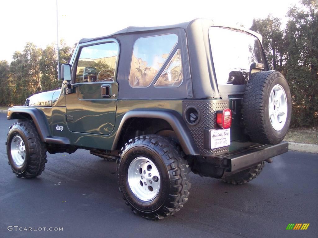 2001 Wrangler SE 4x4 - Forest Green / Agate Black photo #4