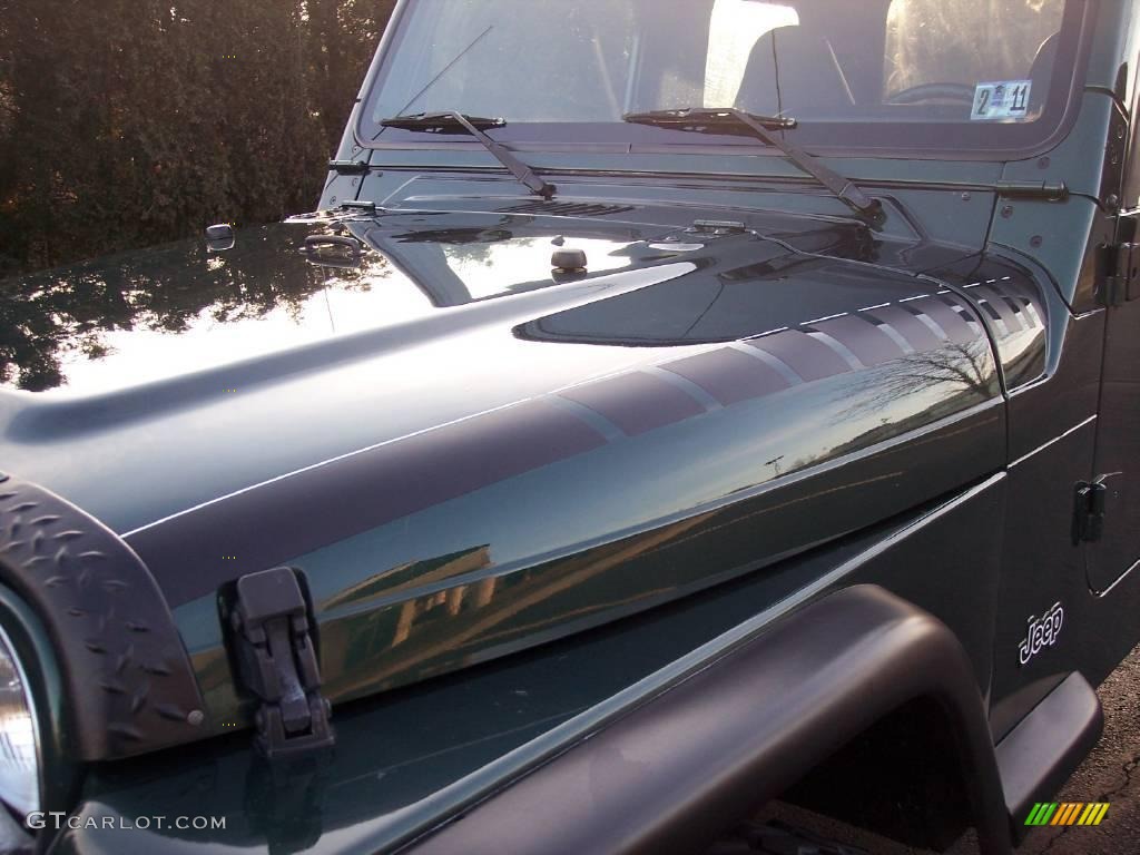 2001 Wrangler SE 4x4 - Forest Green / Agate Black photo #8