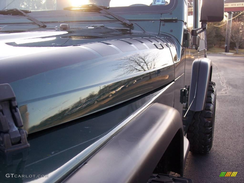 2001 Wrangler SE 4x4 - Forest Green / Agate Black photo #9