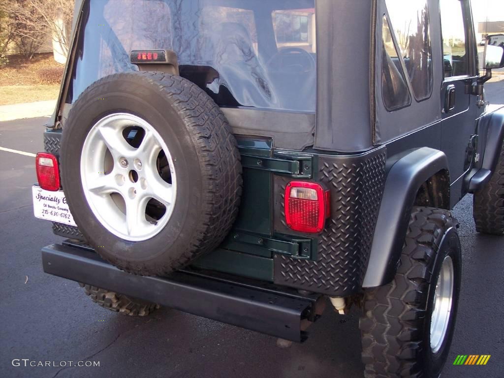 2001 Wrangler SE 4x4 - Forest Green / Agate Black photo #11
