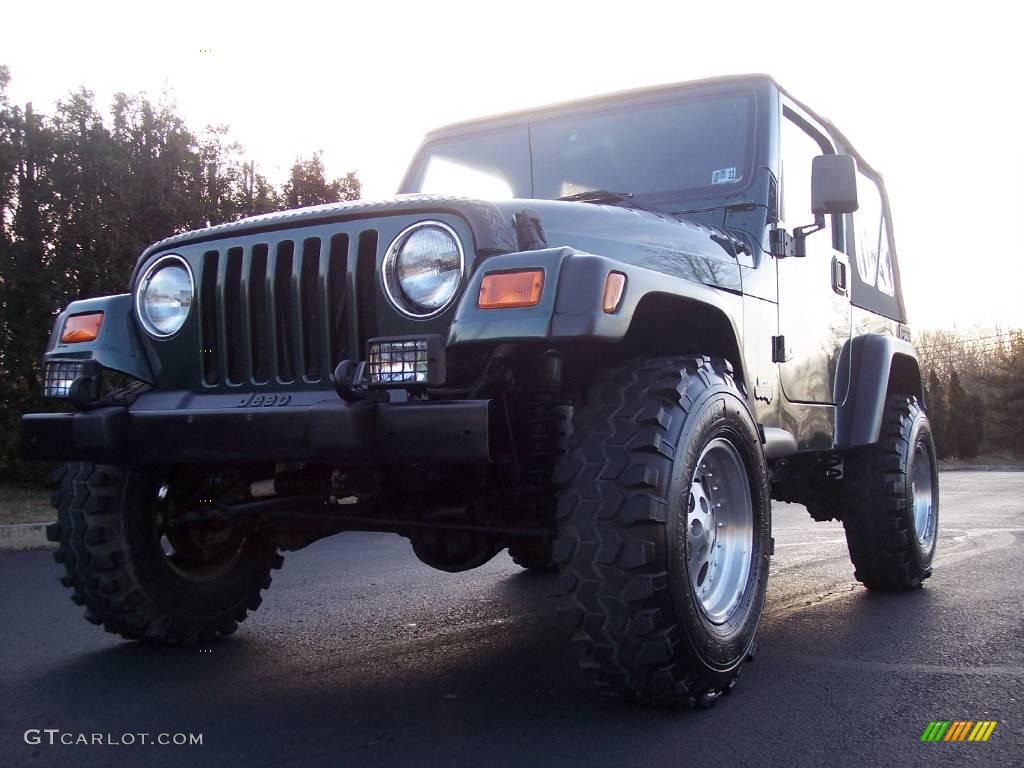 2001 Wrangler SE 4x4 - Forest Green / Agate Black photo #13