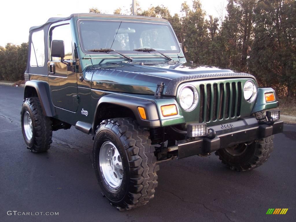 2001 Wrangler SE 4x4 - Forest Green / Agate Black photo #14