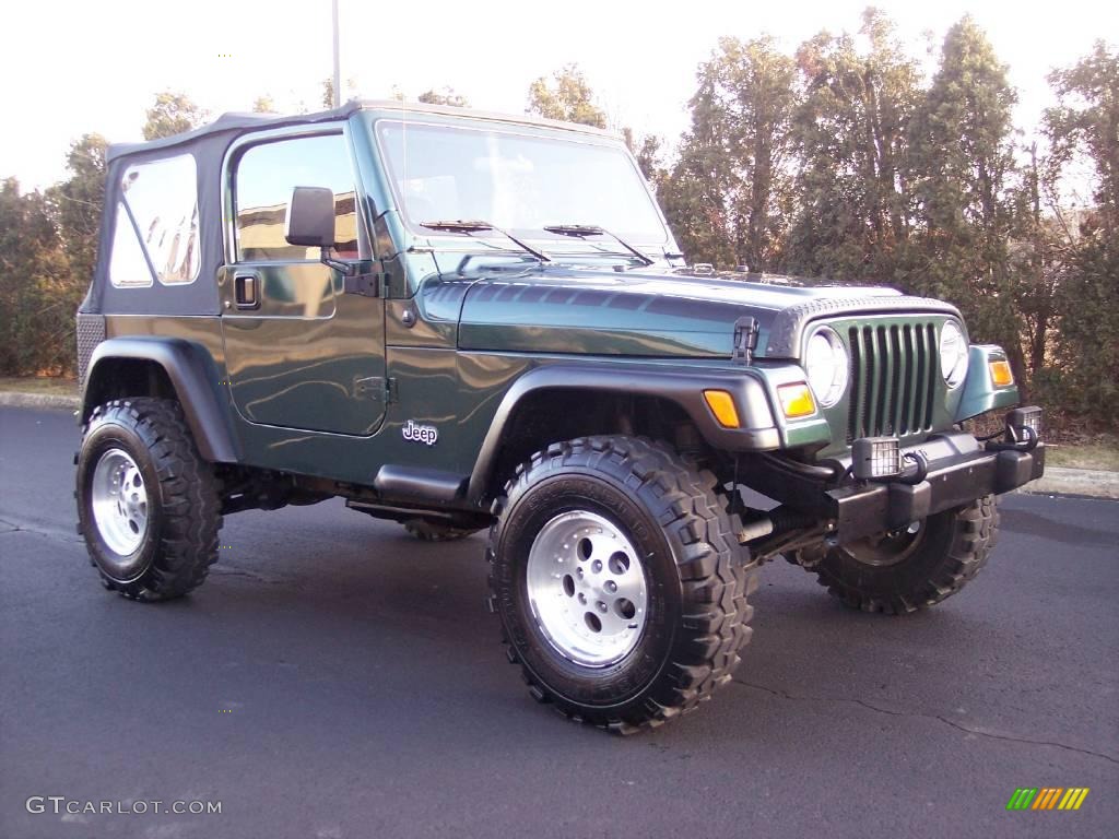 2001 Wrangler SE 4x4 - Forest Green / Agate Black photo #15