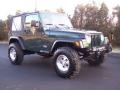 2001 Forest Green Jeep Wrangler SE 4x4  photo #15