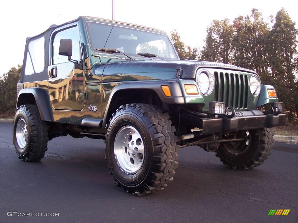 2001 Wrangler SE 4x4 - Forest Green / Agate Black photo #16