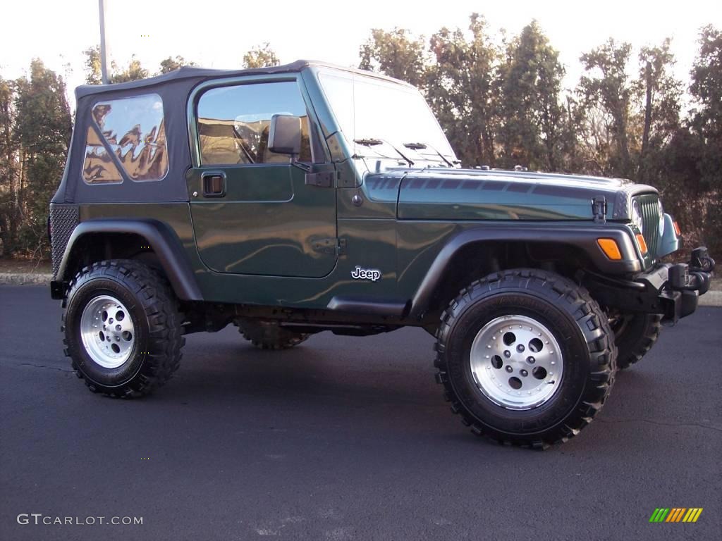 2001 Wrangler SE 4x4 - Forest Green / Agate Black photo #17